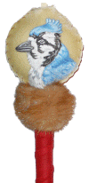 Blue Jay Rattle