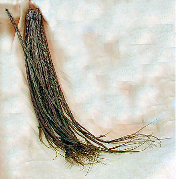 Braided Sweetgrass